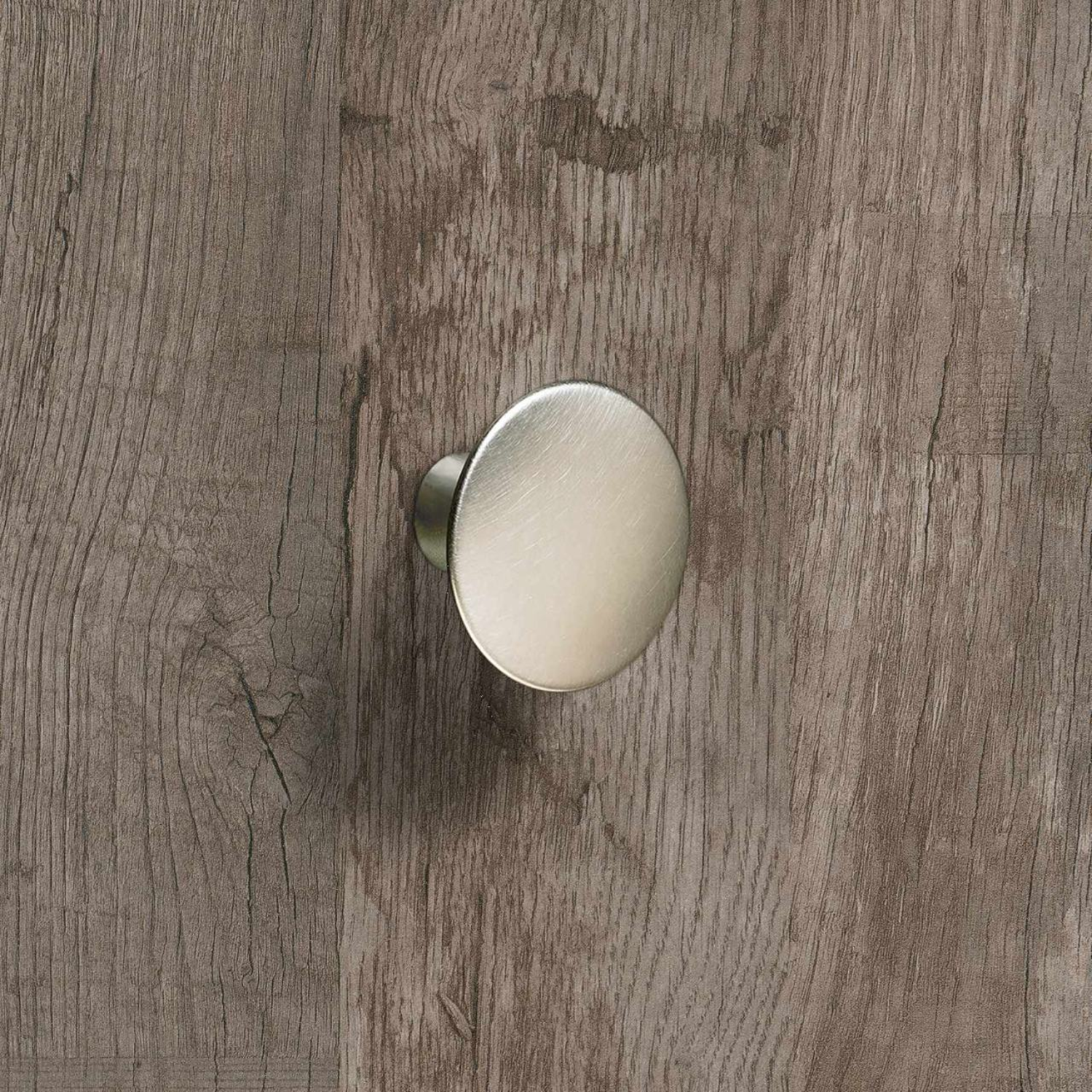 Knop Issa, H 27 mm, ø 40 mm, roestvrij staal finish geborsteld
