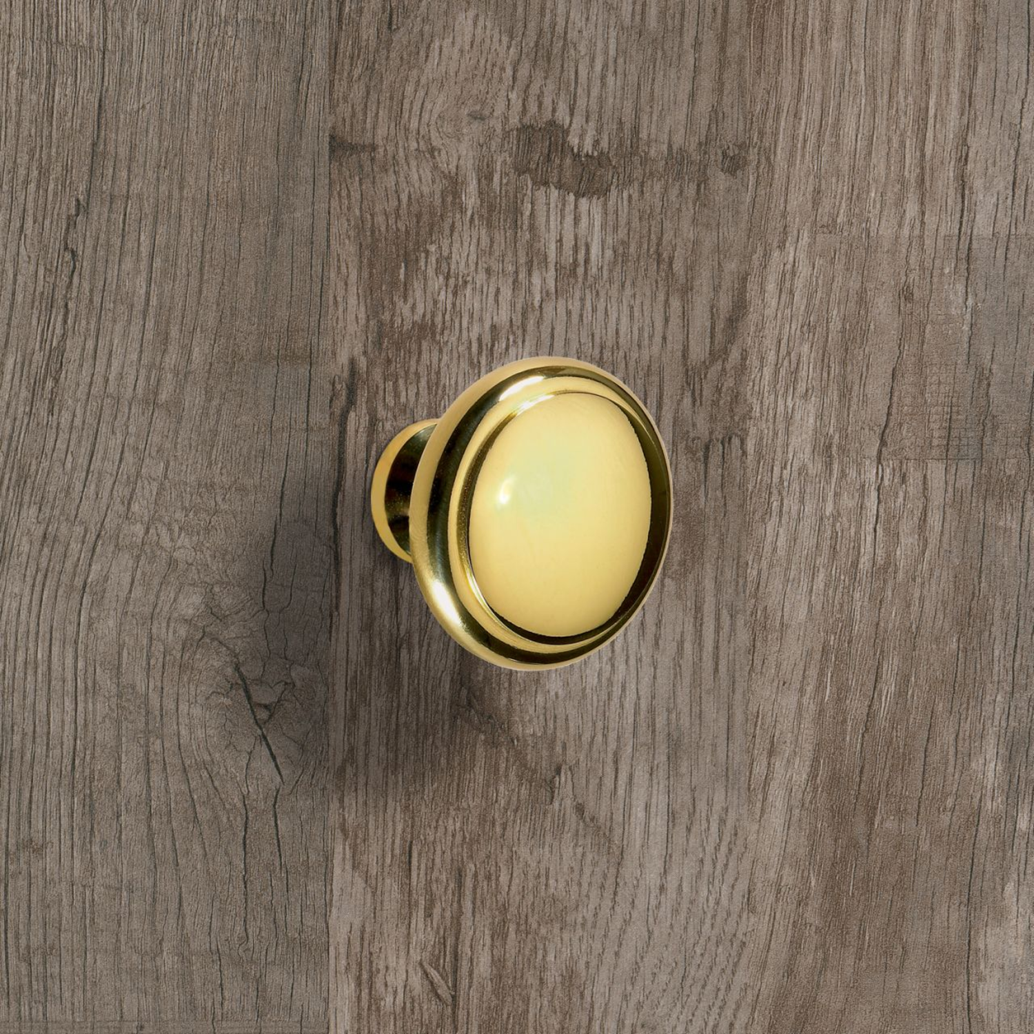 Bouton Solva, H 23 mm, ø 30 mm, aspect laiton brillant