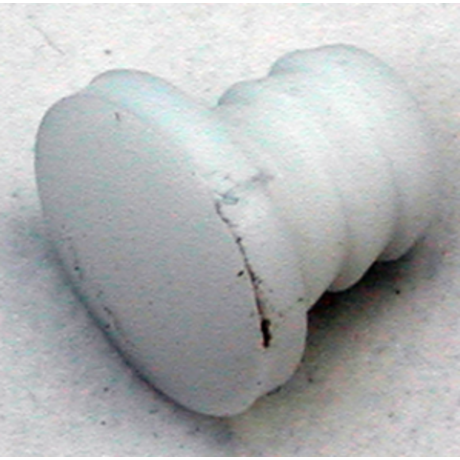 Deurdemper bolle aanslag wit 5mm