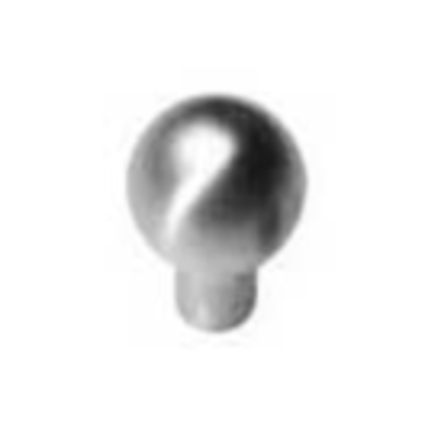 Deurbol d.60mm inox (m10)