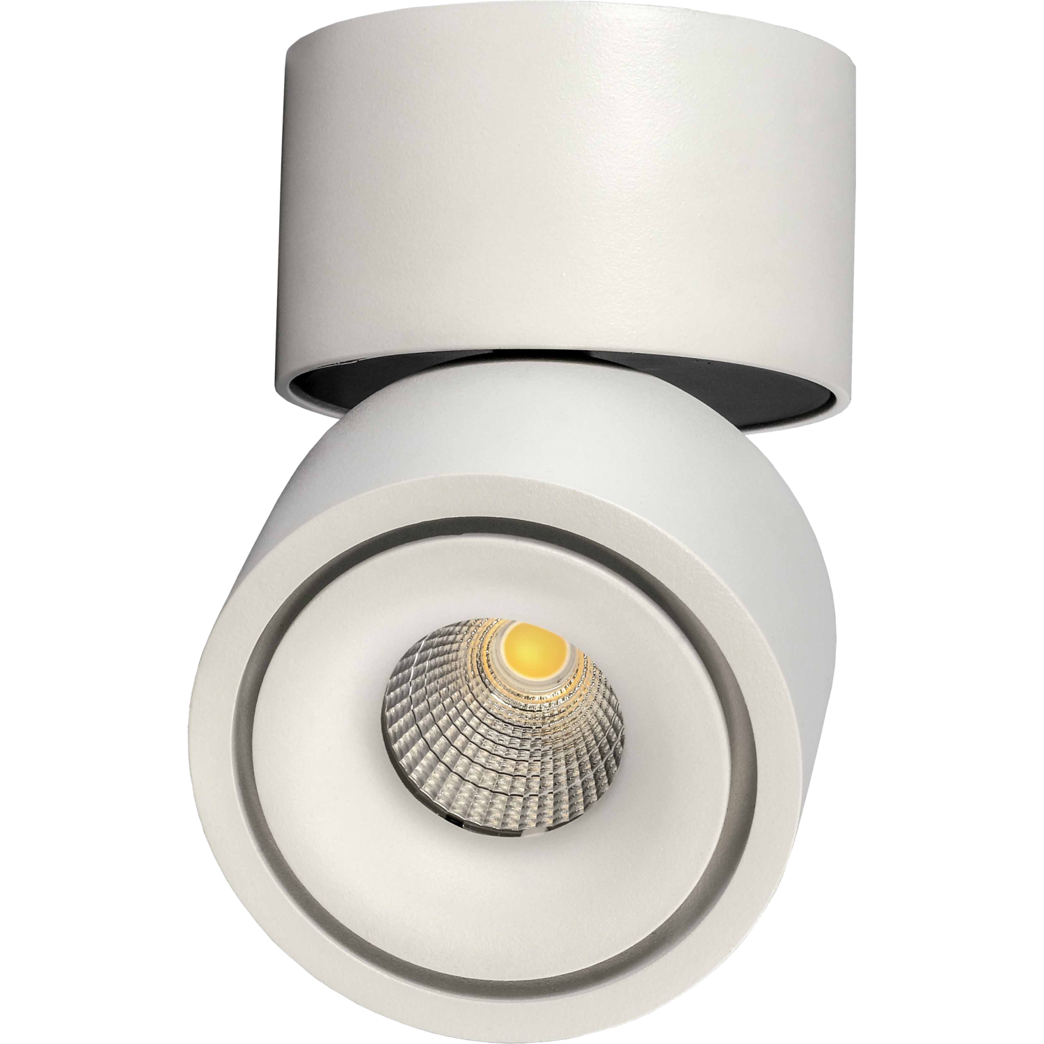Tilt ledspot 230V Ø100mm