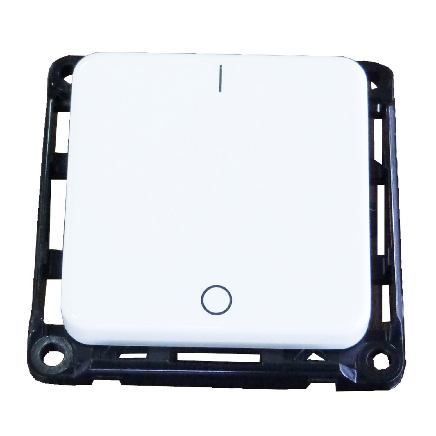Interrupteur bipolaire 10a chrome  