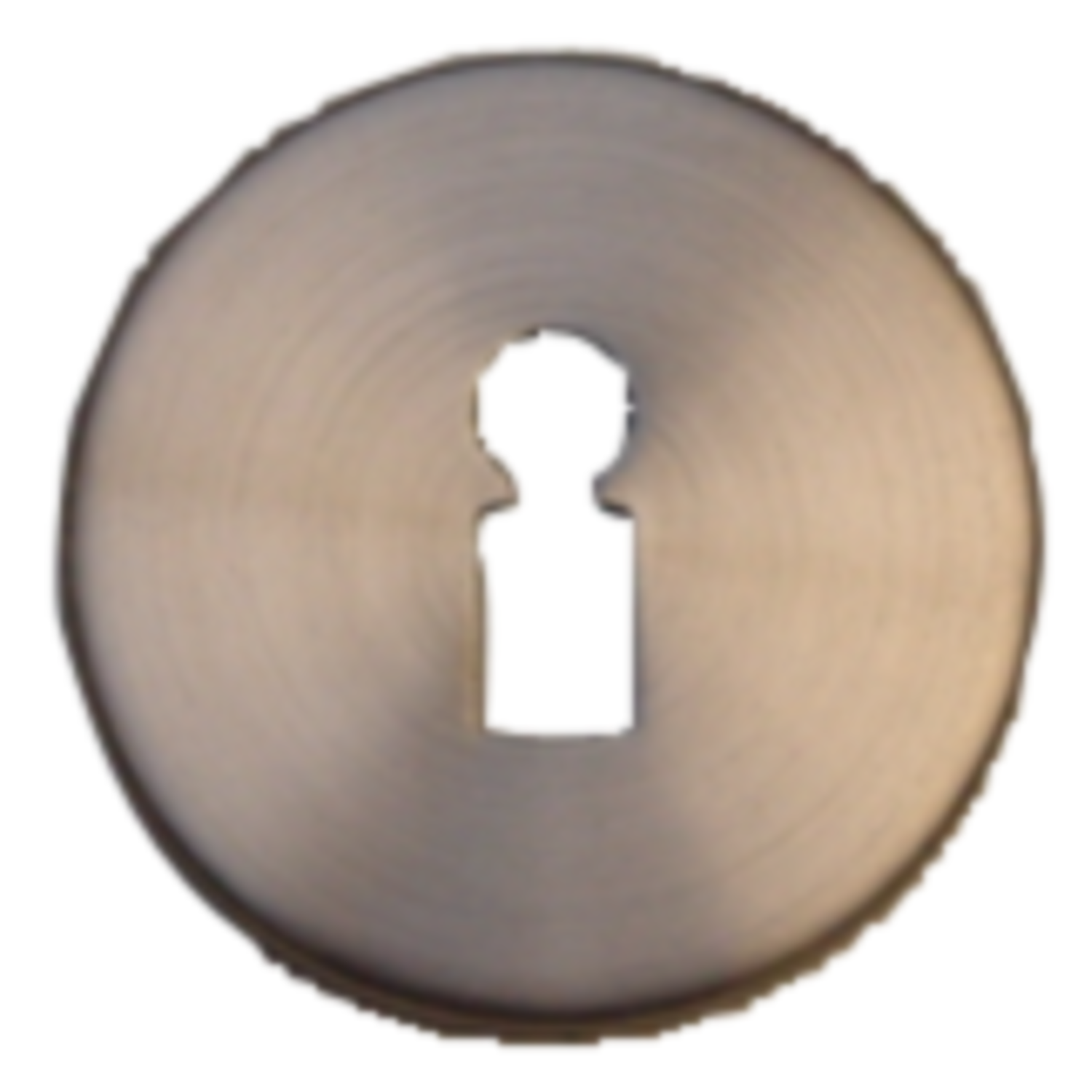 Béqguille bb inox l-droit ø19mm 
