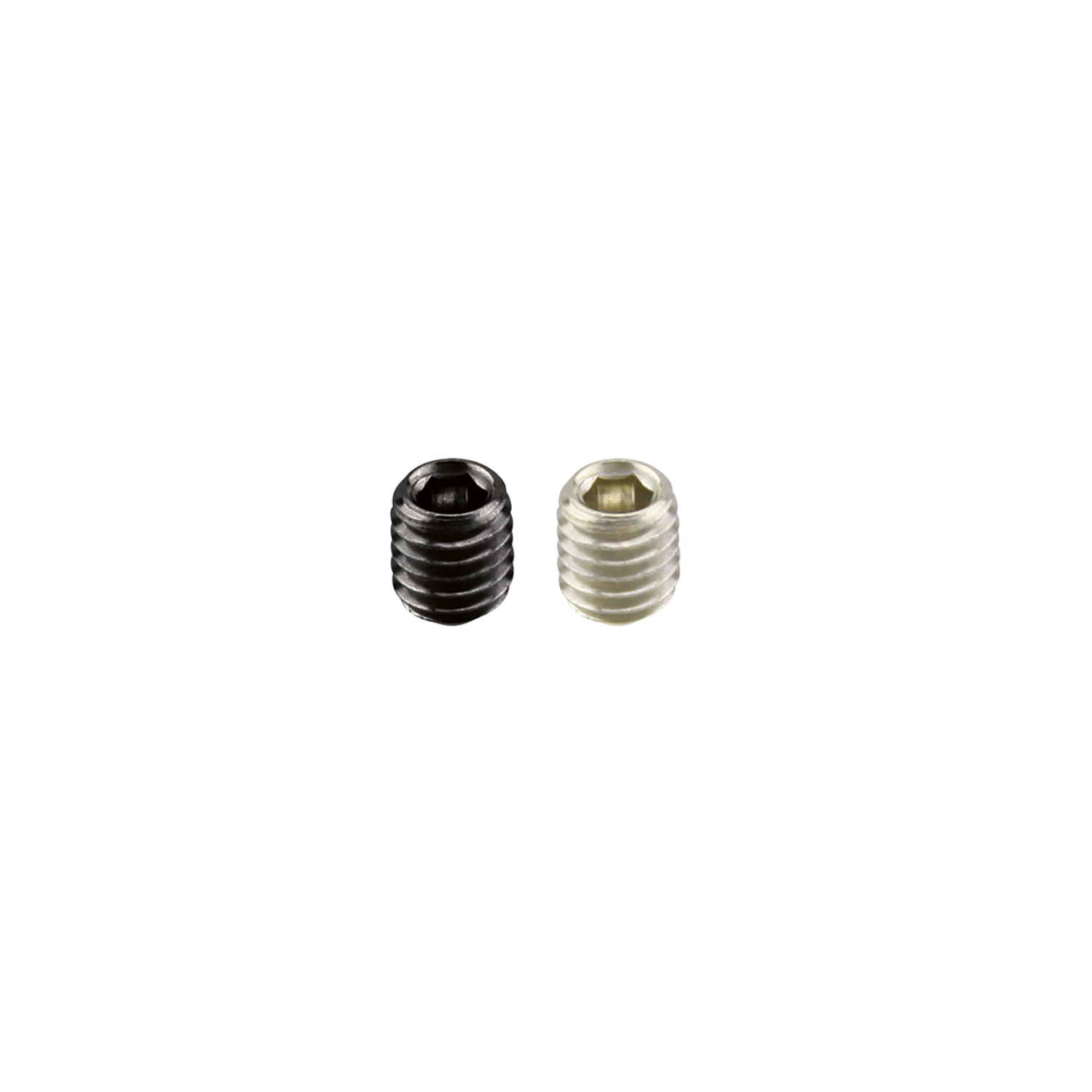 Cadro Stelschroef M5 x 6 mm roestvrij staal finish