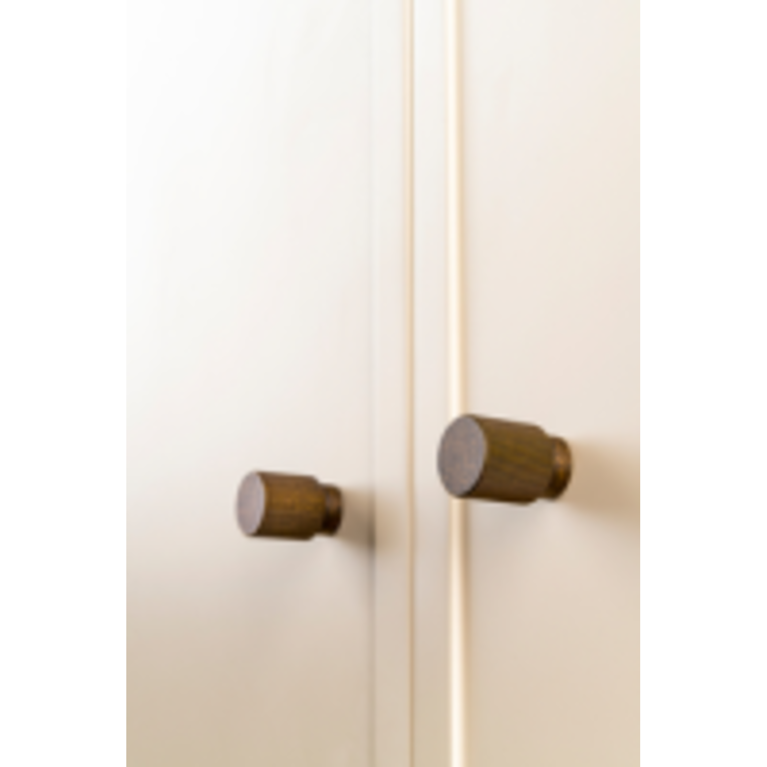 Bouton ARPA Ø22 aluminium look inox