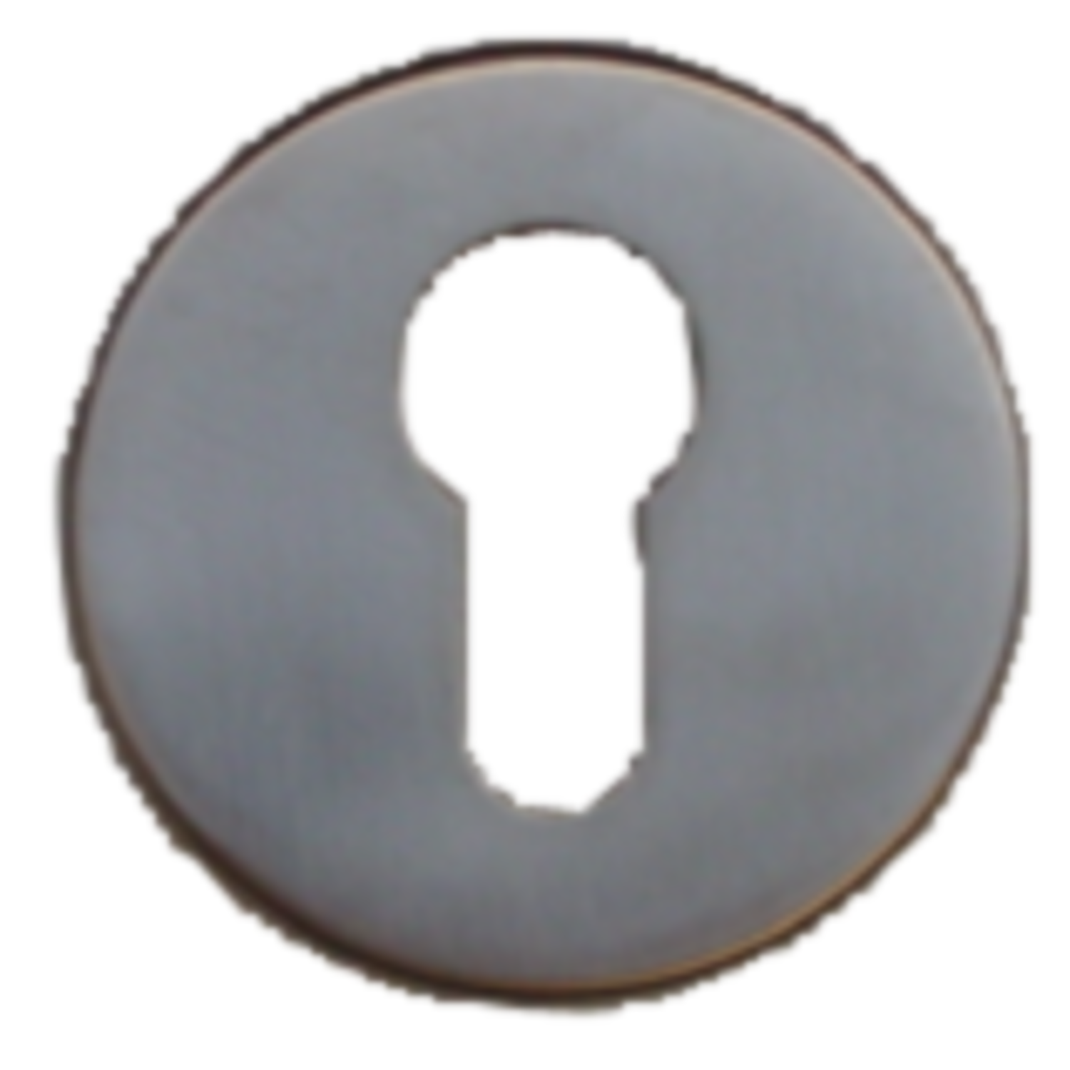 Béqguille bb inox l-droit ø19mm 
