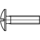 Schroef voor kastbaarhouder M6x35mm