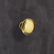 Bouton Solva, H 23 mm, ø 30 mm, aspect laiton brillant