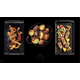 Novy induction Pro 90 cm 