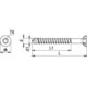 Vis Sparibo TP TORX avec tête fraisée 4 x 
