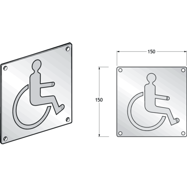 Pba 500-rvs sat. pictogram gehandicapte