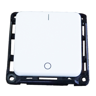 Interrupteur 10A 250V