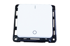 Interrupteur bipolaire 10a chrome  